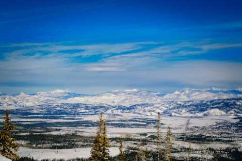 NBA不满柏金斯叫雷纳德退休格林开酸：他场均2.5分没人逼