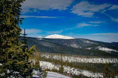 张本智和队录像 WTT总决赛男单1/4决赛 对战vs小勒布伦队回放 2025年12月13日 比赛视频完整直播回看