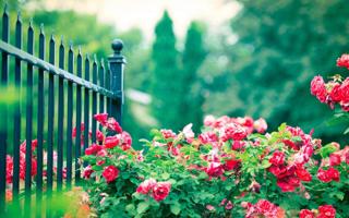 NBA雷纳德参与五对五对抗复出日快艇教头不说死