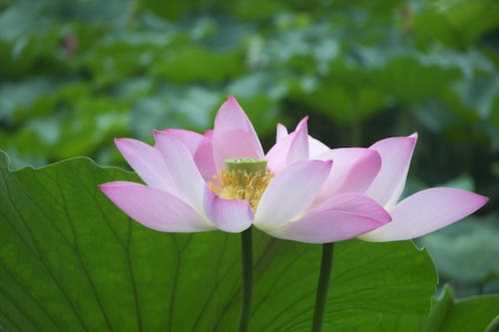 中国台北队录像 男篮亚洲杯小组赛 对战vs中国队回放 2022年07月16日 21:00比赛视频完整直播回看