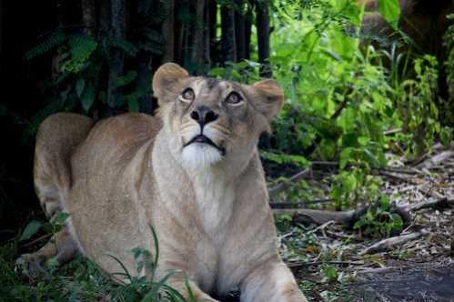 NBA达阵生涯29000分成NBA第8人杜兰特：感谢从小帮助我的人们