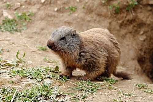 NBA勇士晋NBA杯淘汰赛!波杰姆斯基:我们想要那笔钱