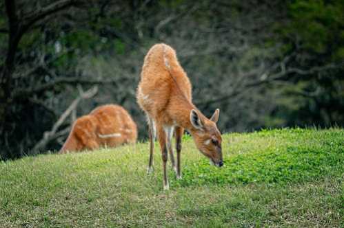 NBA加盟勇士后只赢1场施洛德点出和柯瑞同队的难处