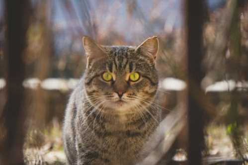 比萨队录像 意甲第17轮 对战vs尤文图斯队回放 2025年12月28日 03:45比赛视频完整直播回看