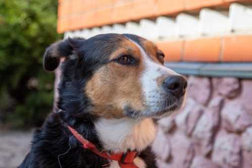 NBA砍33分写生涯代表作库明加直呼勇士队友信任感让他更有信心