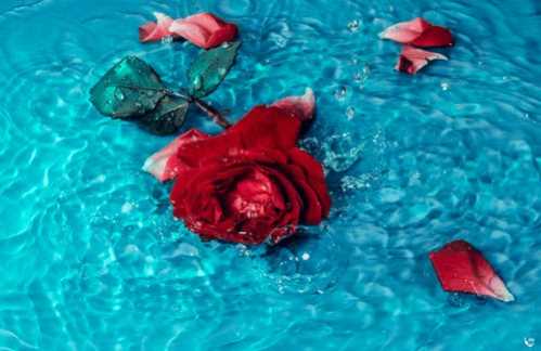 NBA传承父亲荣耀飙生涯新高分小皮朋：我的梦想成真了