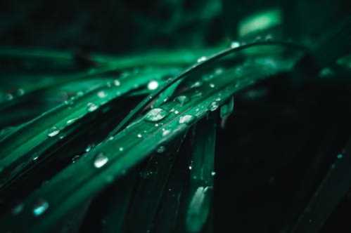 NBA七六人防守升级！总教练纳斯透露团队防守策略与改变