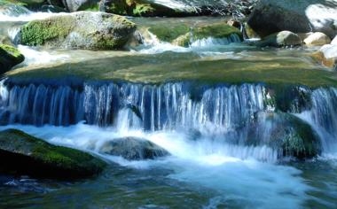 NBA公鹿雷霆NBA杯最终决战三大胜负关键因素