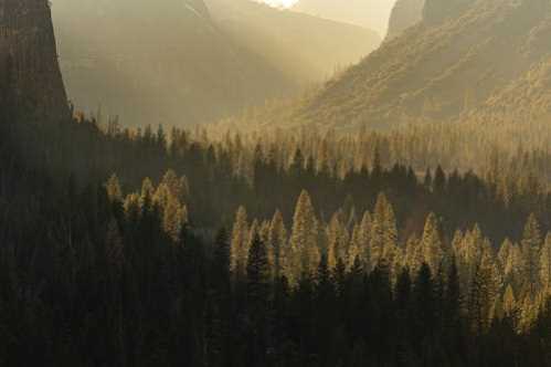 NBA场均抄截写生涯新高!雷霆4年逾26亿续约防守大锁秃曼巴
