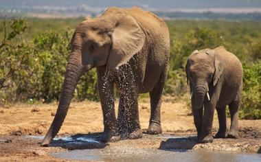 NBA太阳瞄準热火士官长三哥毕尔、当家中锋皆可交易