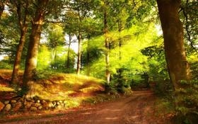 NBA巴特勒只打7分钟就伤退热火主帅:今天比赛很复古