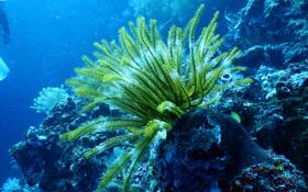 哈萨克斯坦队录像 男篮亚洲杯小组赛 对战vs伊朗队回放 2022年07月15日 12:00比赛视频完整直播回看