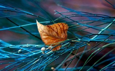 MLB职棒两指骨折打击率高达4成29瑞佐成为洋基精神领袖