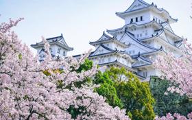 新疆队录像 CBA常规赛全场录像 对战vs回放 未知 新疆vs深圳比赛视频完整直播回看